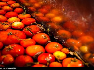 چرا رب‌گوجه ۴۰ روزه ۵۷ درصد گران شد؟