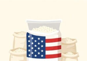 چه کسی «برنج آمریکایی» را به زنجان رساند؟‌/ ۴ سؤال بی‌پاسخ از مسئولان