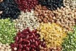 ۱۱۳درصد اختلاف قیمت لوبیا در بازار با وجود تخصیص ارز مبادله‌ای