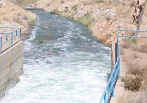 ۱۶ دشت استان بوشهر ممنوعه و بحرانی است