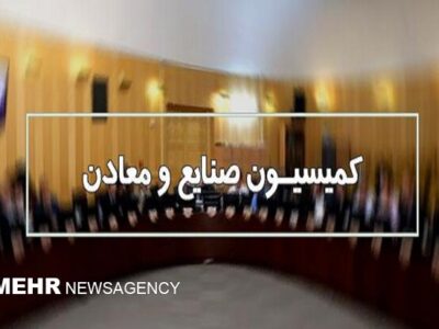 تشکیل کارگروه ویژه در مجلس برای بررسی ترک فعل مسئولان در حوزه خودرو