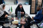 ظرفیت‌های سرمایه‌گذاری و مزیت‌های تجاری خوزستان به سرمایه‌گذاران آفریقایی منتقل شد